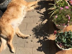 -浔岚云舍mist静谧观景美宿(丽江古城店)