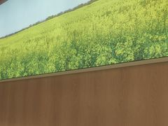 -湘江红·湖南招牌菜(莲花南路店)