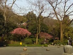 -杭州西湖风景名胜区-北街寻梦