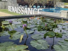 -三亚海棠湾万丽度假酒店