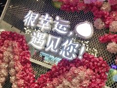 -一笼小幸运
