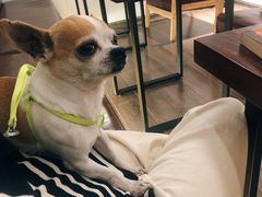 -Double cafe