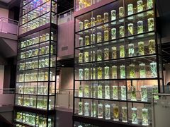 -广东中医药博物馆