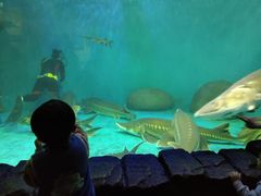 -多彩贵州城极地海洋世界