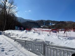 -亚布力新体委滑雪场