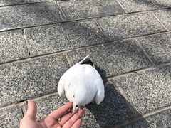 -北京世界公园