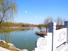 -大兴滨河森林公园