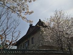-鸡鸣赐茶(鸡鸣寺路店)