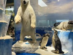 -国家自然博物馆