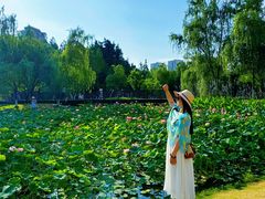 -沐仙湖湿地公园
