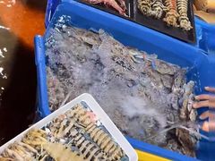 -仙本那小型鱼市