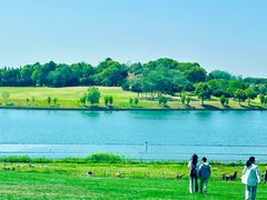 -南京银杏湖乐园