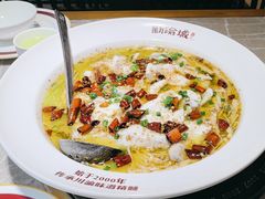-新渝城·川菜·火锅(区庄店)
