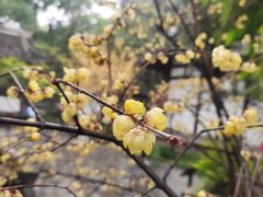 -成都杜甫草堂博物馆