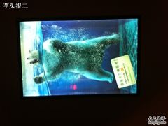 -嘉华国际影城(学清路店)