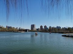 -大宁公园