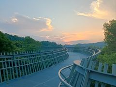 -福道