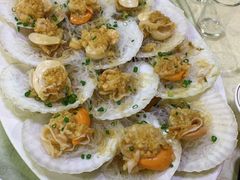 扇贝-老字号蛇口德记烧腊饭店·海鲜加工