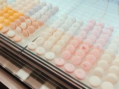 -BLACKSWAN黑天鹅(环球店)