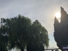 -巢湖姥山岛