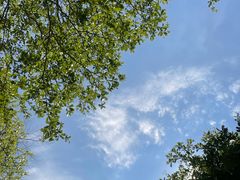 -深圳湾公园(南山区)