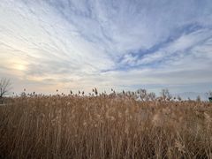 -野鸭湖国家湿地公园