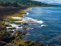 -龙坑生态保护区