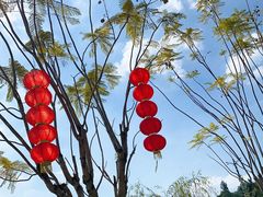 -飞凤山奥体公园