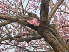 -湖州太湖旅游度假区-月亮广场