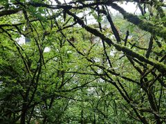 -山王坪喀斯特国家生态公园