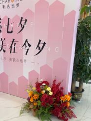 -美瑞莎创美医疗美容