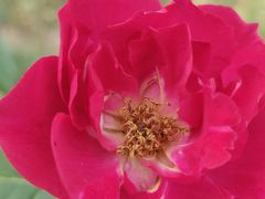 -天津东丽湖风景区