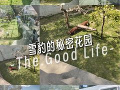 -青藏高原野生动物园