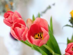 -盒马鲜生(悠方店)