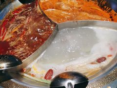-辣伍鲜毛肚老火锅(元一店)