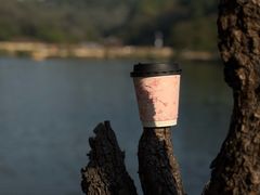 -南国桃园旅游度假区