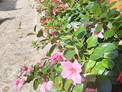 -木王宴语·野生鲜菌火锅(玉河店)