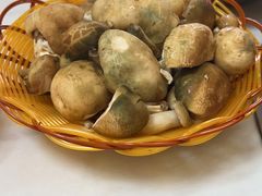 -山菌美食苑(振兴路店)