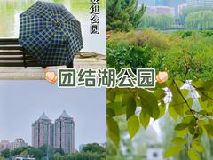 -团结湖公园