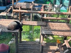 -大连森林动物园