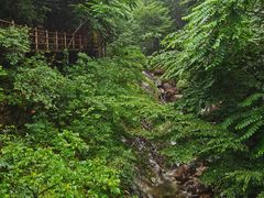 -罗田天堂寨风景区