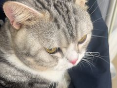 -艾贝尔宠物医院·狂犬免疫点(江山金象城店)