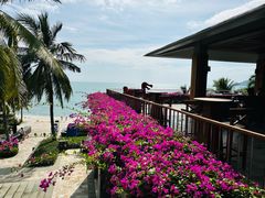 -日落吧·海景咖啡厅·餐酒吧·鸡尾酒·下午茶·乐队表演·浪漫夕阳·三亚文华东方酒店