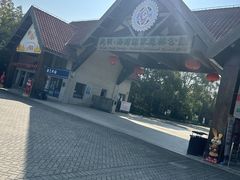 -上海海湾国家森林公园