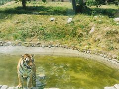 -西安秦岭野生动物园