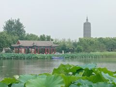 -西海子公园
