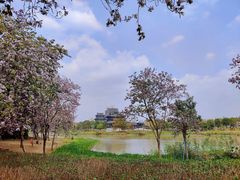 -海珠湖公园