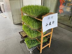 -天厨妙香素食餐厅(清华店)