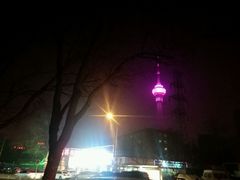 -金凤成祥(五棵松二店)