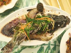 -四姑娘川味海鲜(八爪鱼店)